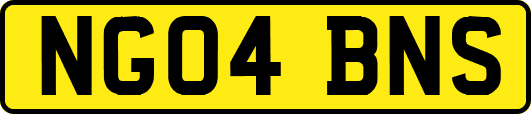 NG04BNS