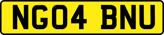 NG04BNU