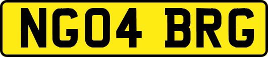 NG04BRG