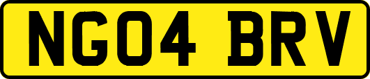 NG04BRV