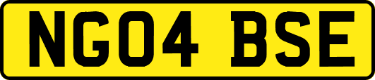 NG04BSE