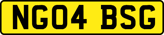NG04BSG