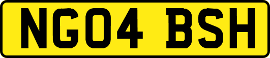 NG04BSH