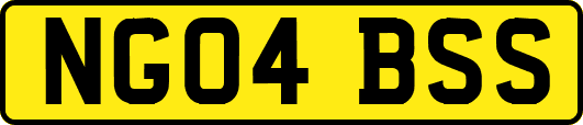 NG04BSS