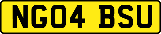 NG04BSU