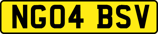 NG04BSV