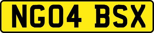 NG04BSX