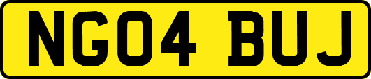 NG04BUJ