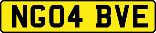 NG04BVE