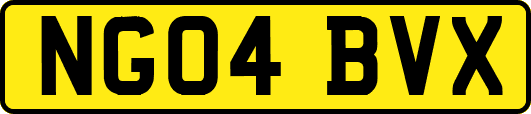 NG04BVX