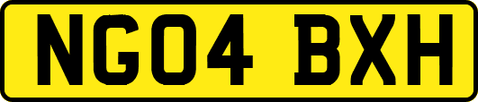 NG04BXH