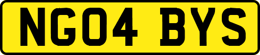 NG04BYS