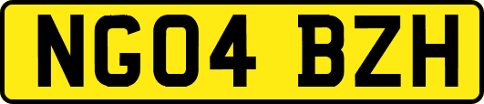 NG04BZH
