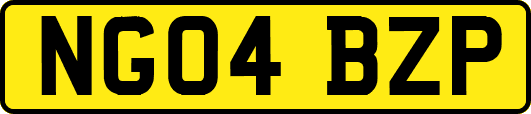 NG04BZP