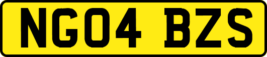 NG04BZS