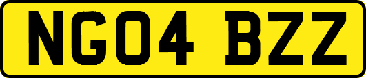 NG04BZZ