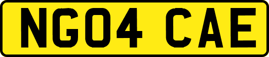NG04CAE