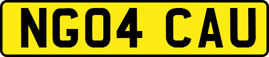 NG04CAU