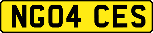 NG04CES