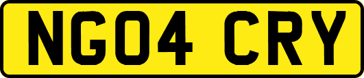 NG04CRY