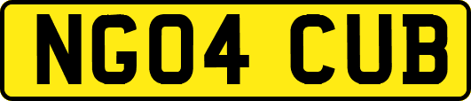 NG04CUB