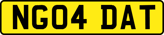 NG04DAT