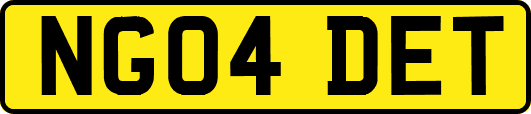 NG04DET