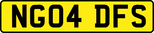 NG04DFS