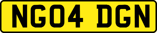 NG04DGN