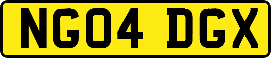 NG04DGX
