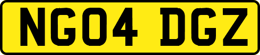 NG04DGZ