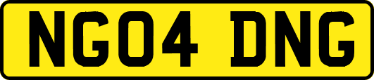 NG04DNG