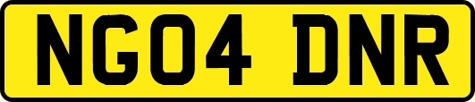 NG04DNR