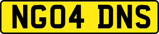 NG04DNS