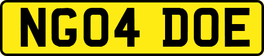 NG04DOE