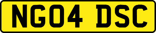 NG04DSC
