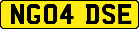 NG04DSE
