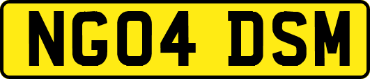 NG04DSM