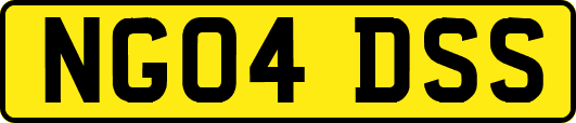 NG04DSS