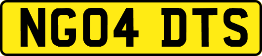 NG04DTS