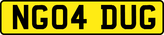 NG04DUG