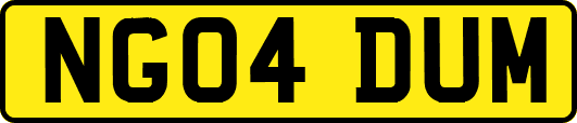 NG04DUM