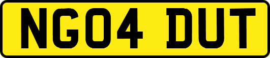 NG04DUT