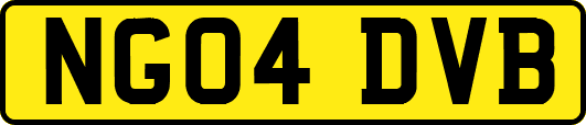 NG04DVB