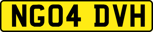 NG04DVH