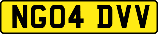 NG04DVV