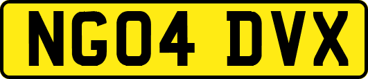 NG04DVX