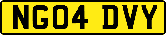 NG04DVY