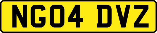 NG04DVZ