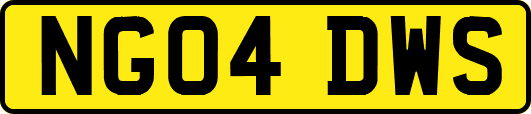 NG04DWS